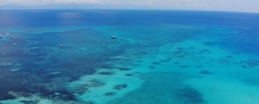 Great Barrier Reef © Carles Rabada on Unsplash Great Barrier Reef © Carles Rabada on Unsplash