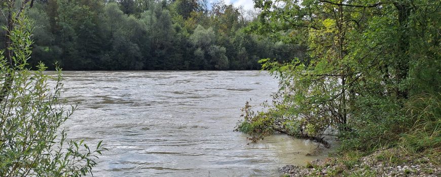 Die Traun bei Hochwasser Die Traun bei Hochwasser